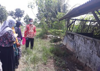 Tim PKM FP-UMSU Solusikan Kesulitan Peternak Itik dengan Manajemen Produksi