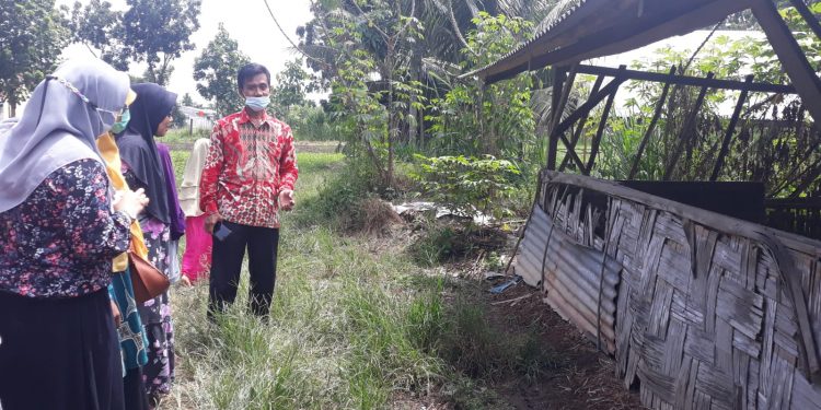 Tim PKM FP-UMSU Solusikan Kesulitan Peternak Itik dengan Manajemen Produksi