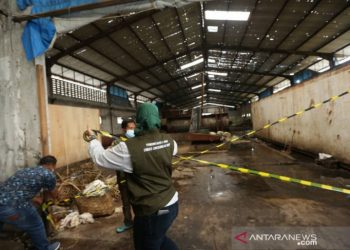 Bikin resah warga, Pemkot Medan tutup pabrik pengolahan bulu ayam