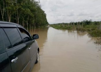 Infarstruktur Jelek, Warga Desa Taman Sari keluhkan jalan rusak dan sering Kebanjiran