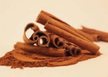 Kayu manis asal Sumut sudah diekspor ke 10 negara