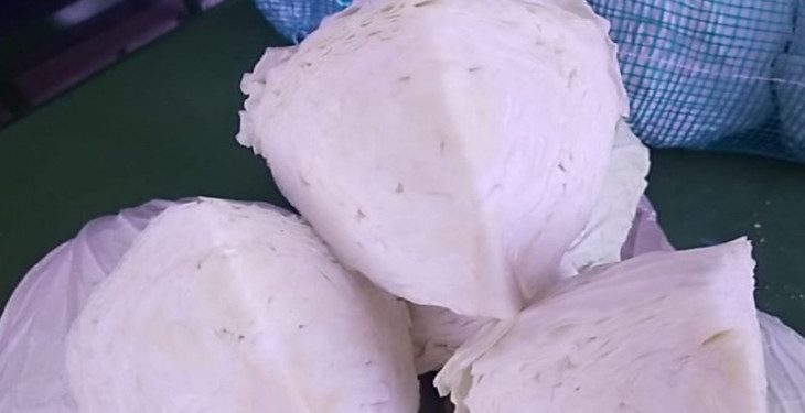 Sumut ekspor kubis ke Malaysia dan Taiwan