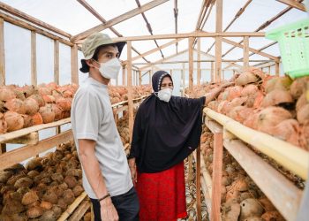 MDMC Bangkitkan Perekonomian Penyintas Gempa Palu