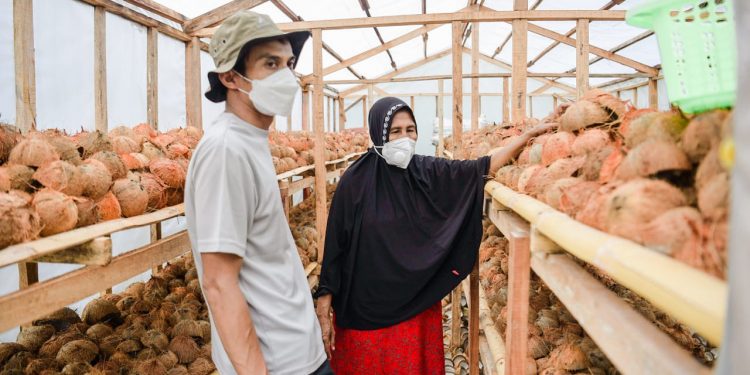 MDMC Bangkitkan Perekonomian Penyintas Gempa Palu