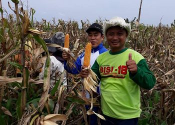 Refleksi Hari Tani Nasional 2021: Faktor Pengahambat Kesejateraan  Petani di Indonesia