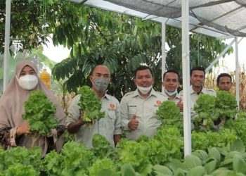Ketua PKK Labusel Apresiasi Akrifitas Pemuda Muhammadiyah
