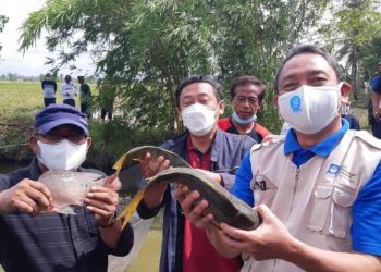 Nasib Petani Sering Dipinggirkan, MPM Dorong Petani untuk Berjamaah