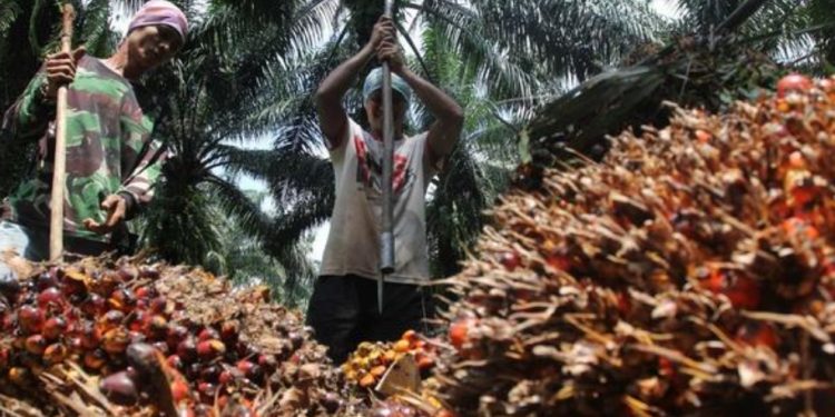 Lima Negara Penghasil Terbesar di Dunia