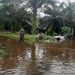 110 rumah di Babalan Langkat terendam banjir