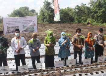 Momen Milad Muhammadiyah ke-109, Lazismu DIY Launching Tani Bangkit