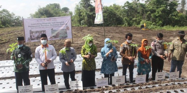 Momen Milad Muhammadiyah ke-109, Lazismu DIY Launching Tani Bangkit