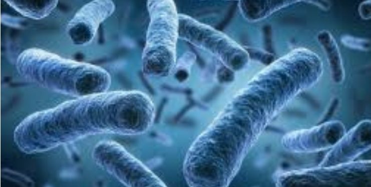 Kematian Akibat Covid19 di Eropa Terus Meningkat, WHO Keluarkan Peringatan