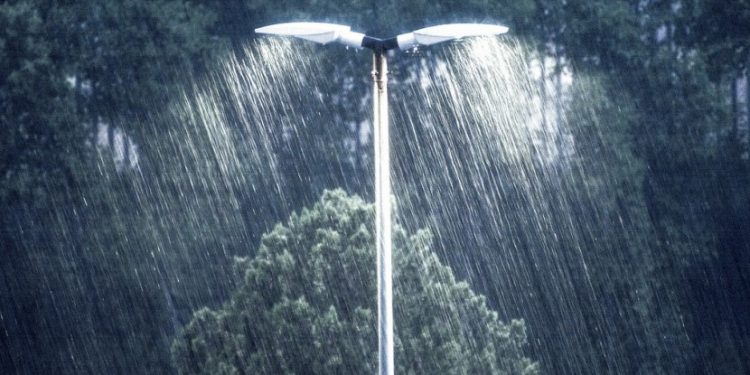 Dinkes Sumut: Waspada DBD Saat Musim Hujan