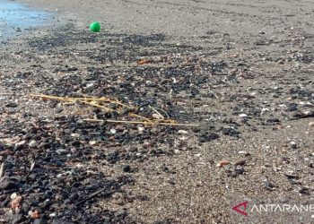 Pantai Ulee Lheue Banda Aceh tercemar batubara