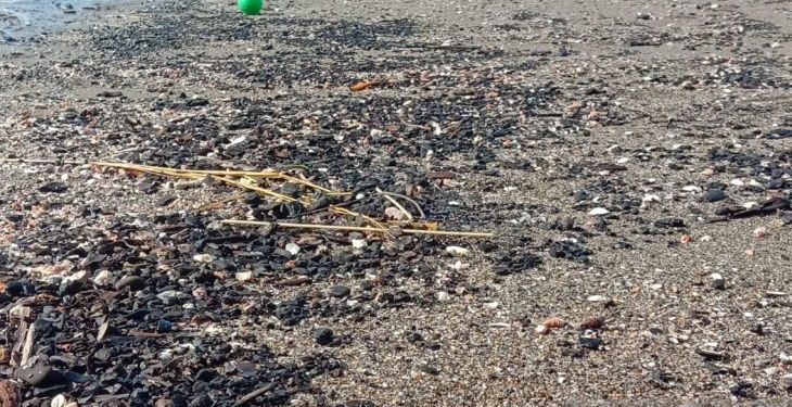 Pantai Ulee Lheue Banda Aceh tercemar batubara