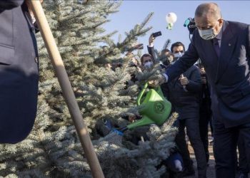 Turki akan Ciptakan Hutan di Sepertiga Wilayahnya pada 2023