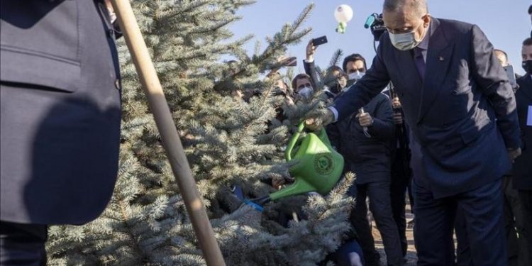 Turki akan Ciptakan Hutan di Sepertiga Wilayahnya pada 2023