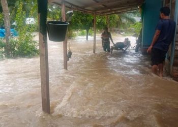 Enam desa di Aceh Timur direndam banjir