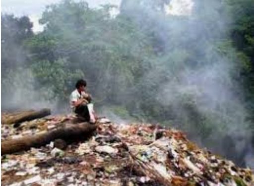 Islam Melarang Segala Bentuk Perusakan Alam