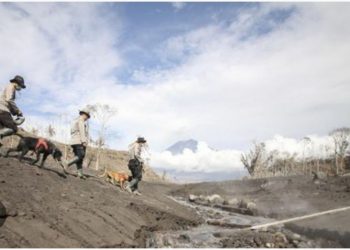 Semeru Kembali Erupsi, Pencarian Korban Dihentikan