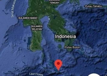 Gempa Larantuka, MDMC Fokus Tangani Pulau Terluar