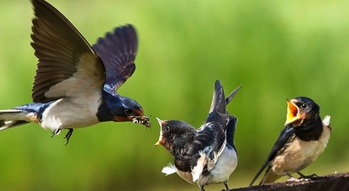 Khutbah Jum’at: Bertebaran Mencari Rizki dan Jangan Berputus Asa