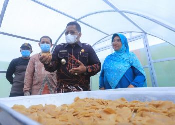 Pegadaian Aceh Serahkan Rumah Jemur Higienis Majukan Produktivitas Tiram