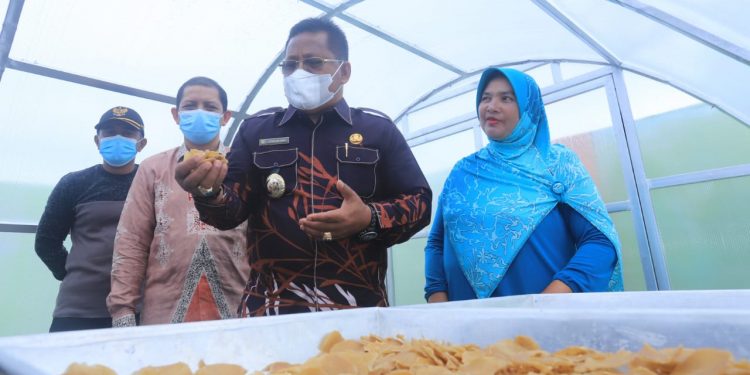Pegadaian Aceh Serahkan Rumah Jemur Higienis Majukan Produktivitas Tiram