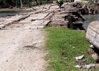 Jembatan Desa Pardamean Natal, Memerihatinkan