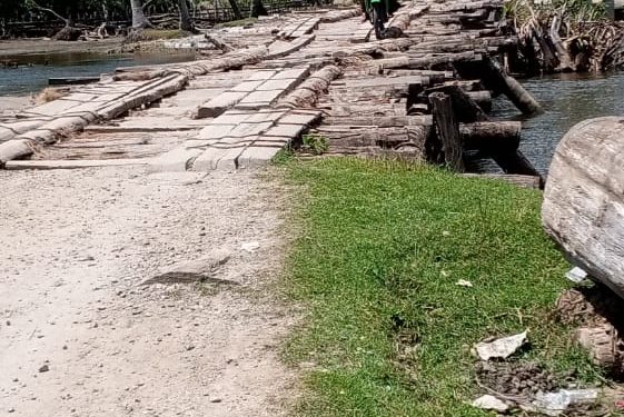 Jembatan Desa Pardamean Natal, Memerihatinkan