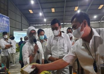 Perum Bulog jamin ketersediaan beras aman hingga Idul Fitri