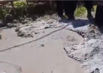 Pasca Gempa Bumi, Muncul Fenomena Air Panas di Wilayah Jorong