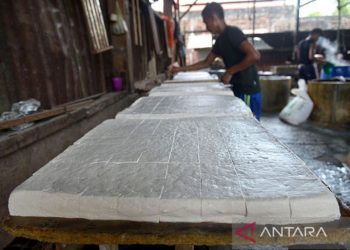 Pengrajin tahu di Aceh keluhkan mahalnya harga kedelai