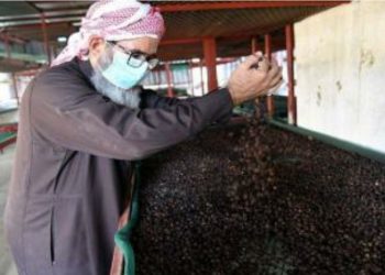 Arab Saudi Tetapkan Tahun 2022 Sebagai Tahun Kopi