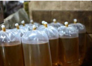 Pemerintah Gagal Mengamankan Harga Minyak Goreng, Kemendag Ternyata Macan Ompong