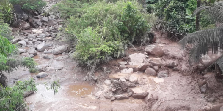 Warga Pasaman Barat yang tinggal di tepi sungai diminta mengungsi