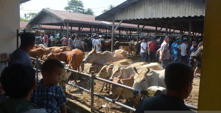 Jelang Megang Ramadan, Pasar Ternak di Aceh Meriah