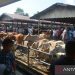 Jelang Megang Ramadan, Pasar Ternak di Aceh Meriah