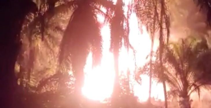 Sumur Minyak Tradisional di Desa Mata Ie Ranto Peureulak Terbakar