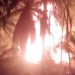 Sumur Minyak Tradisional di Desa Mata Ie Ranto Peureulak Terbakar