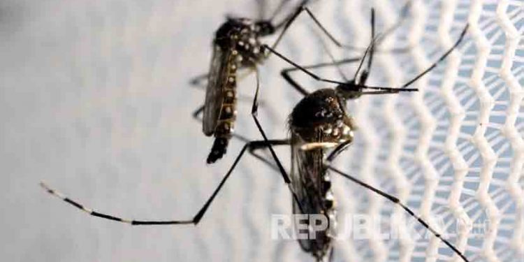 Virus Zika Bermutasi, Ahli Peringatkan Potensi Bahaya Varian Baru