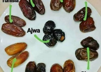 Kenapa Kurma dibenci Jin, Begini Ceritanya