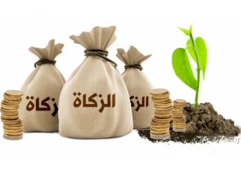 Penyaluran Dana Zakat bagian Sabilillah