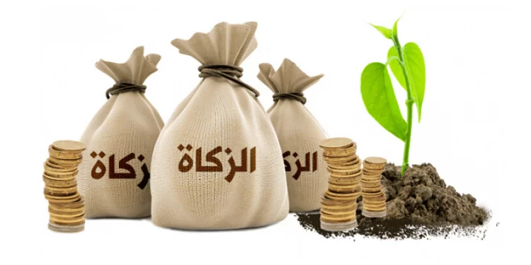 Penyaluran Dana Zakat bagian Sabilillah