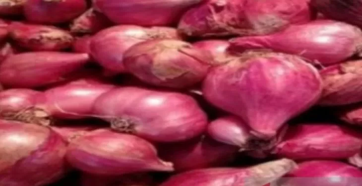 Konsumen di Sumut Beralih ke Bawang Merah Impor Karena Produk Lokal Mahal