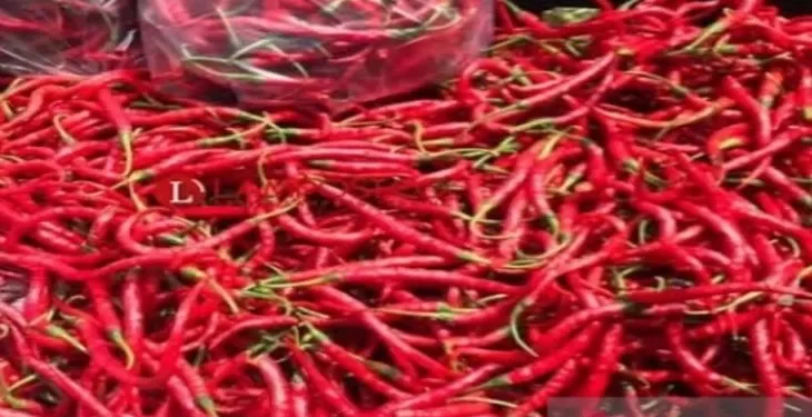 Harga Cabai Masih Bertahan Sekitar Rp 100 Ribu/Kg