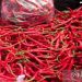 Harga cabai merah di Sumut naik lagi mencapai Rp85.000 per kg