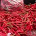 Harga Cabai Masih Bertahan Sekitar Rp 100 Ribu/Kg