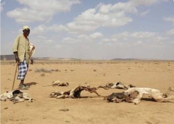 PBB Minta Lebih Aktif Mengurangi Emisi Gas Rumah Kaca