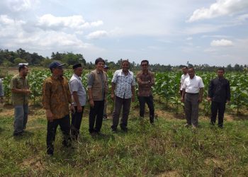 Irvan Mirza Alumni FP Syiah Kuala, Pimpin Petani Nasdem Aceh